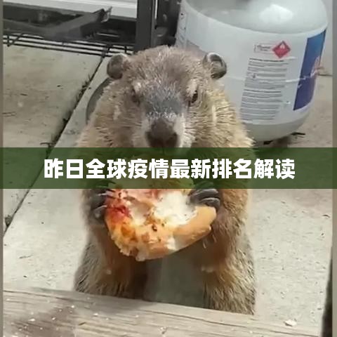 昨日全球疫情最新排名解读
