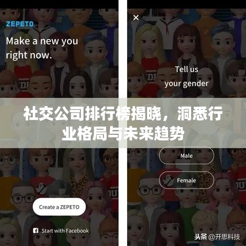 社交公司排行榜揭晓，洞悉行业格局与未来趋势
