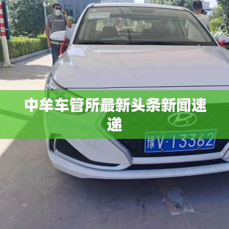 中牟车管所最新头条新闻速递
