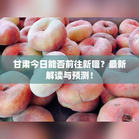 甘肃今日能否前往新疆？最新解读与预测！