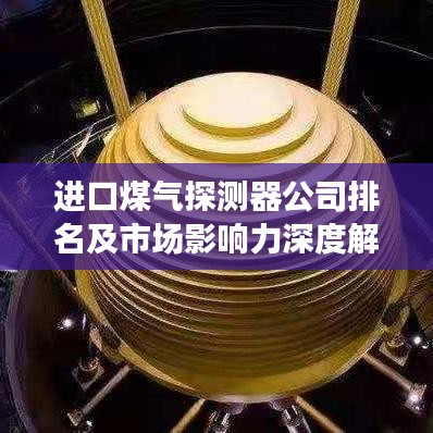 进口煤气探测器公司排名及市场影响力深度解析