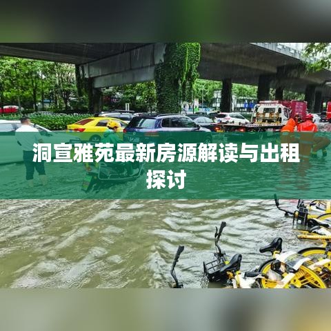 洞宣雅苑最新房源解读与出租探讨