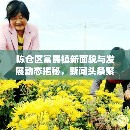 陈仓区富民镇新面貌与发展动态揭秘，新闻头条聚焦小镇蜕变