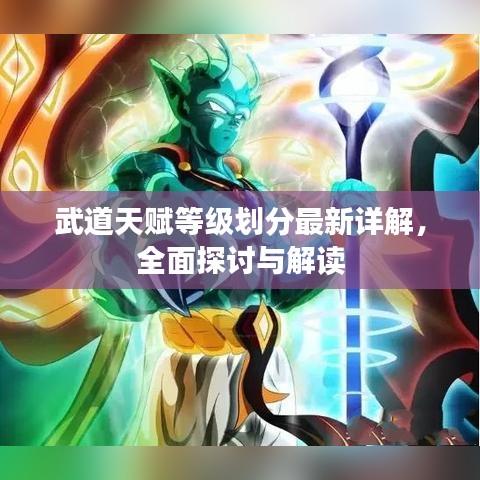武道天赋等级划分最新详解，全面探讨与解读