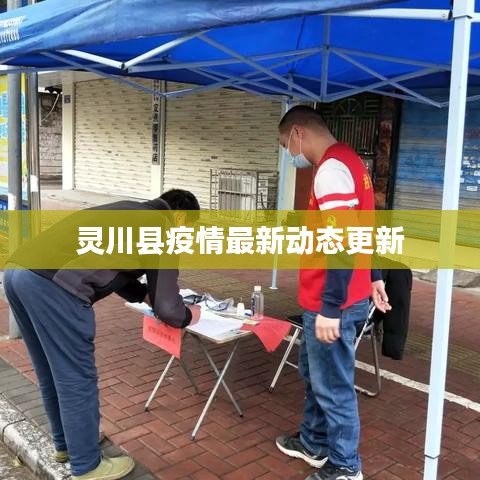 灵川县疫情最新动态更新