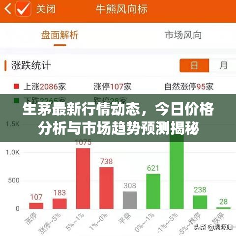 生茅最新行情动态，今日价格分析与市场趋势预测揭秘
