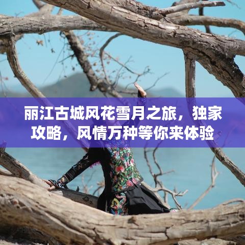 丽江古城风花雪月之旅，独家攻略，风情万种等你来体验