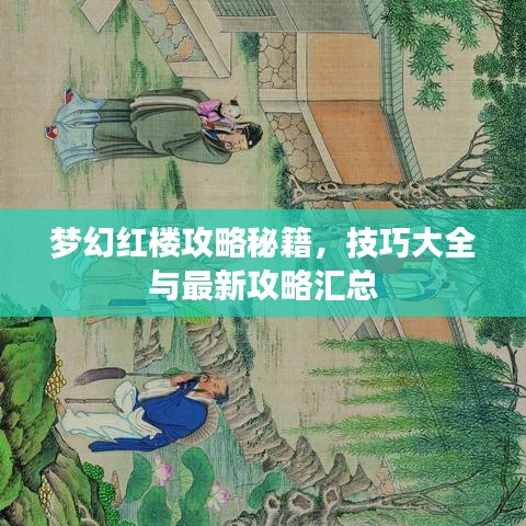 梦幻红楼攻略秘籍，技巧大全与最新攻略汇总