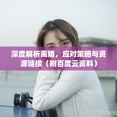 深度解析离婚，应对策略与资源链接（附百度云资料）
