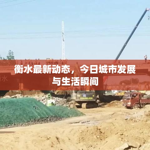 衡水最新动态，今日城市发展与生活瞬间
