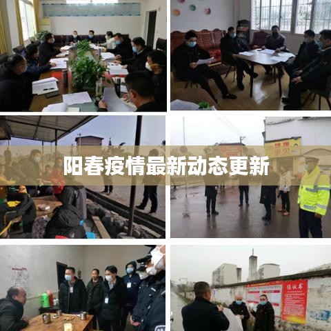 阳春疫情最新动态更新