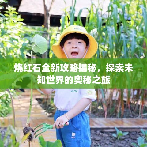 烧红石全新攻略揭秘，探索未知世界的奥秘之旅