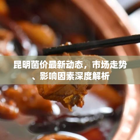 昆明菌价最新动态，市场走势、影响因素深度解析
