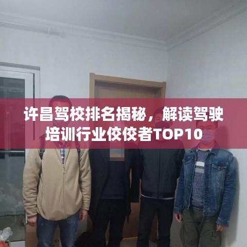 许昌驾校排名揭秘，解读驾驶培训行业佼佼者TOP10