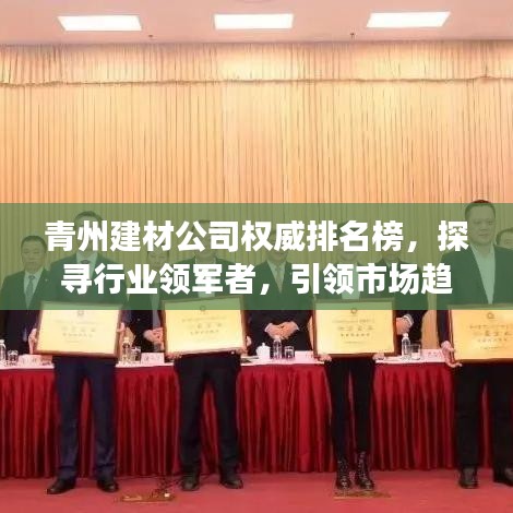青州建材公司权威排名榜，探寻行业领军者，引领市场趋势