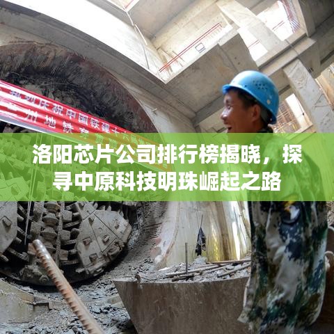 洛阳芯片公司排行榜揭晓，探寻中原科技明珠崛起之路