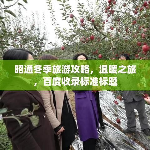 昭通冬季旅游攻略，温暖之旅，百度收录标准标题