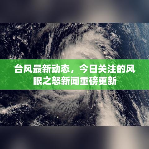 台风最新动态，今日关注的风眼之怒新闻重磅更新