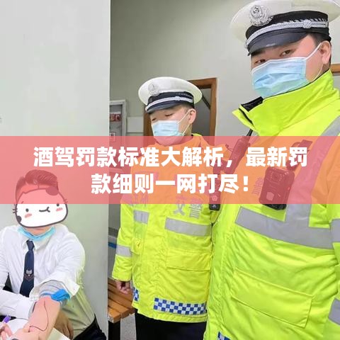 酒驾罚款标准大解析，最新罚款细则一网打尽！
