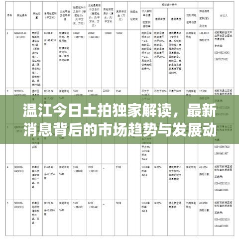 温江今日土拍独家解读，最新消息背后的市场趋势与发展动态揭秘