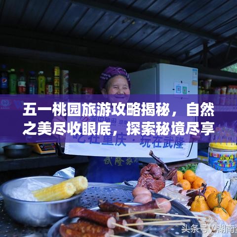 五一桃园旅游攻略揭秘，自然之美尽收眼底，探索秘境尽享乐趣！