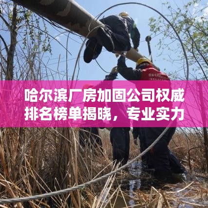 哈尔滨厂房加固公司权威排名榜单揭晓，专业实力与信誉并存的企业大揭秘