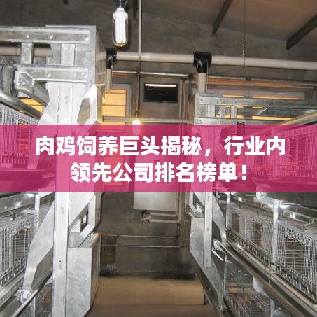 肉鸡饲养巨头揭秘，行业内领先公司排名榜单！