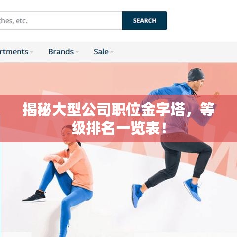 揭秘大型公司职位金字塔，等级排名一览表！