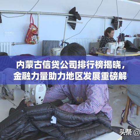 内蒙古信贷公司排行榜揭晓，金融力量助力地区发展重磅解读