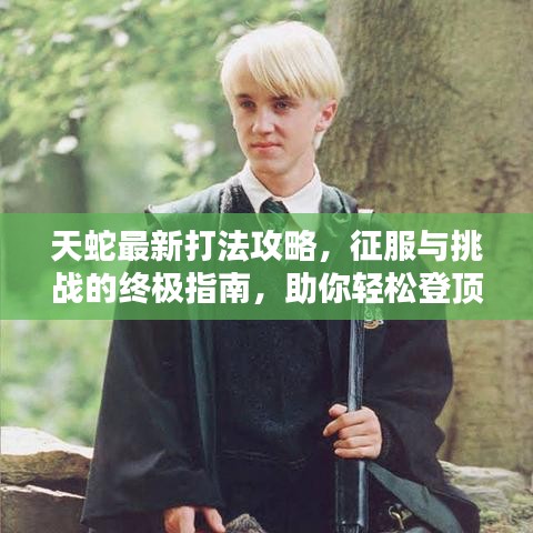 天蛇最新打法攻略，征服与挑战的终极指南，助你轻松登顶！