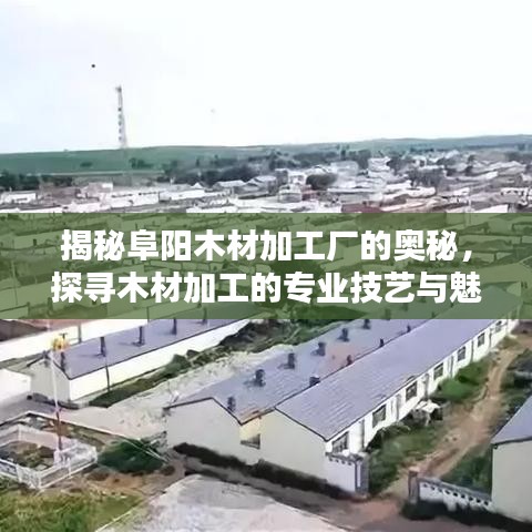 揭秘阜阳木材加工厂的奥秘，探寻木材加工的专业技艺与魅力