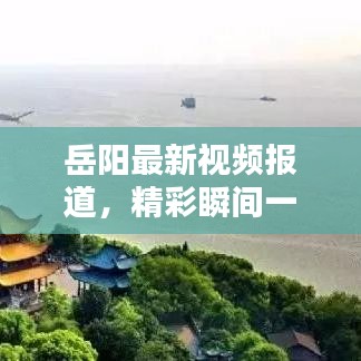 岳阳最新视频报道，精彩瞬间一网打尽