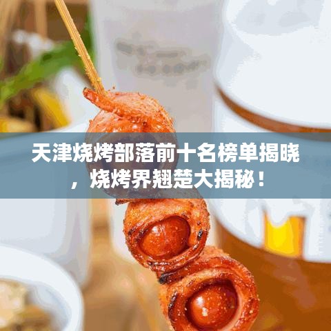 天津烧烤部落前十名榜单揭晓，烧烤界翘楚大揭秘！