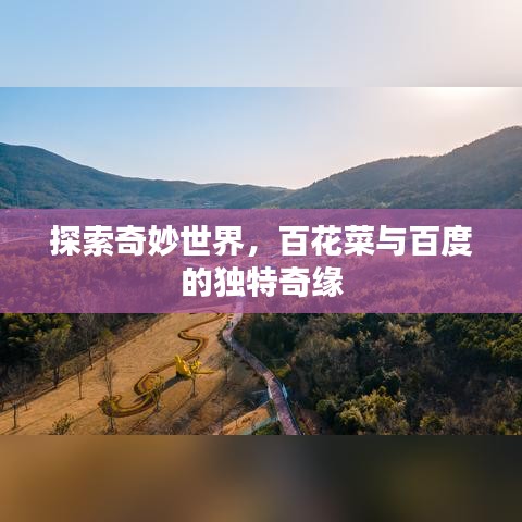 探索奇妙世界，百花菜与百度的独特奇缘