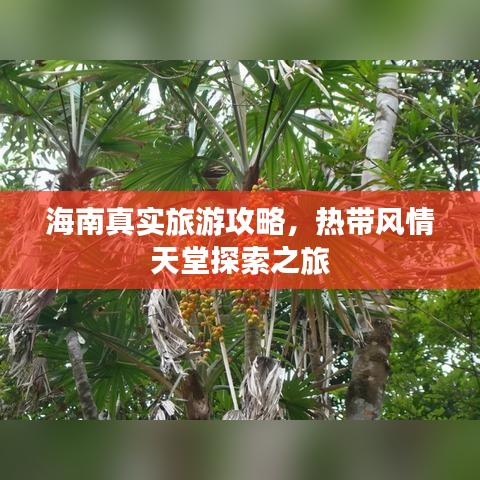 海南真实旅游攻略，热带风情天堂探索之旅