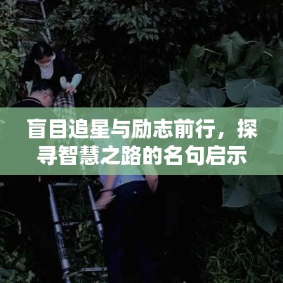 盲目追星与励志前行，探寻智慧之路的名句启示