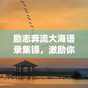励志奔流大海语录集锦，激励你前行的力量源泉