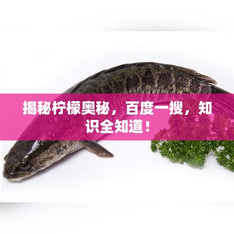 揭秘柠檬奥秘，百度一搜，知识全知道！