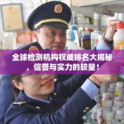全球检测机构权威排名大揭秘，信誉与实力的较量！