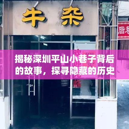 揭秘深圳平山小巷子背后的故事，探寻隐藏的历史与文化