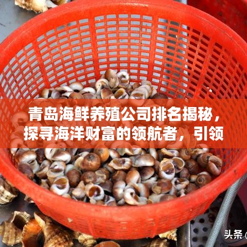 青岛海鲜养殖公司排名揭秘，探寻海洋财富的领航者，引领行业风向标！