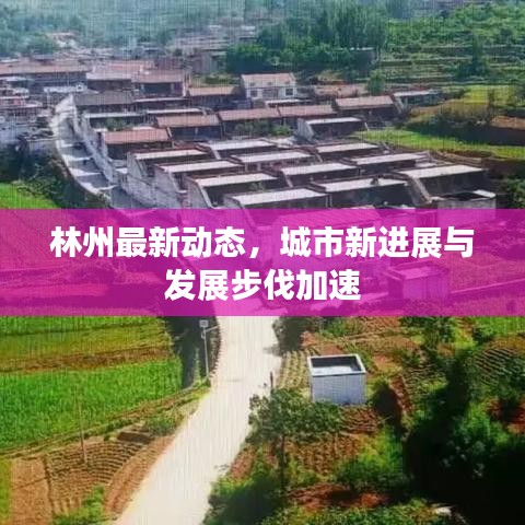 林州最新动态，城市新进展与发展步伐加速