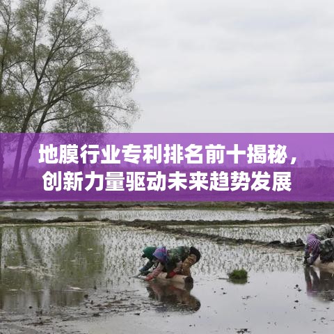 地膜行业专利排名前十揭秘，创新力量驱动未来趋势发展