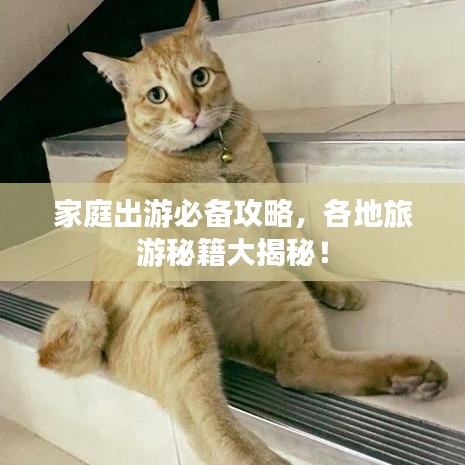 家庭出游必备攻略，各地旅游秘籍大揭秘！