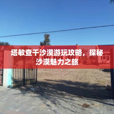 塔敏查干沙漠游玩攻略，探秘沙漠魅力之旅