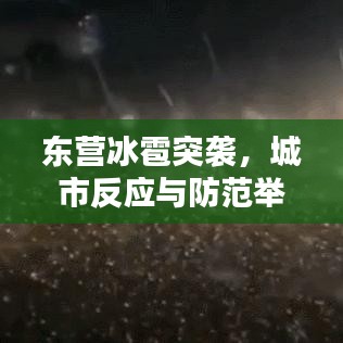 东营冰雹突袭，城市反应与防范举措