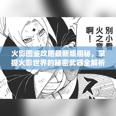 火影图鉴攻略最新版揭秘，掌握火影世界的秘密武器全解析！