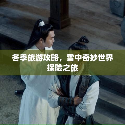冬季旅游攻略，雪中奇妙世界探险之旅