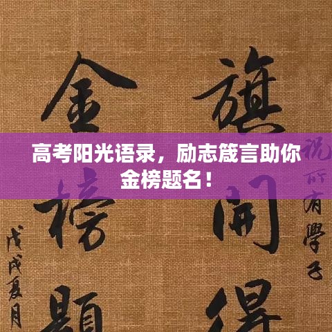 高考阳光语录，励志箴言助你金榜题名！