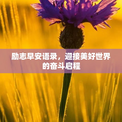 励志早安语录，迎接美好世界的奋斗启程